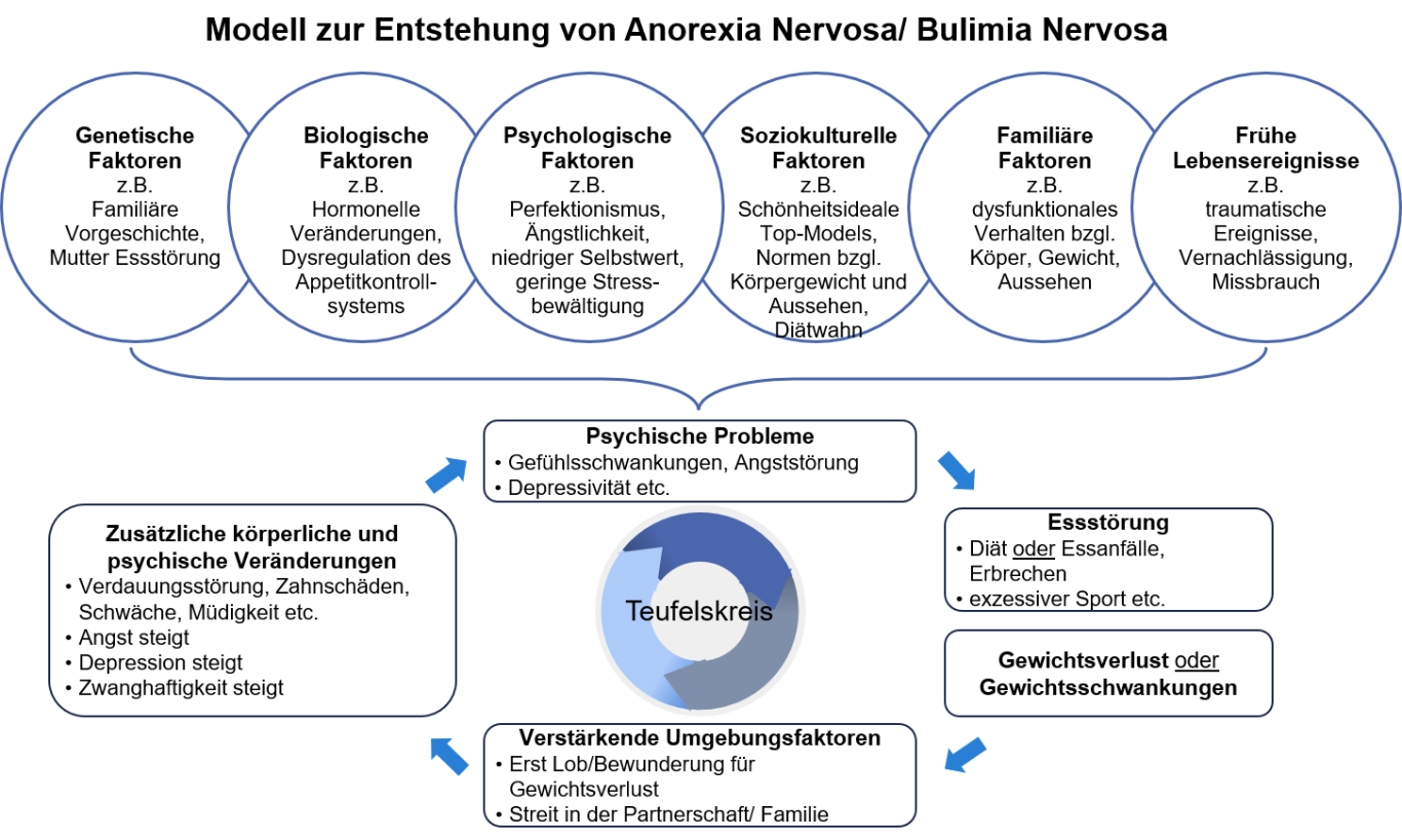 Modell zur Entstehung der Magersucht